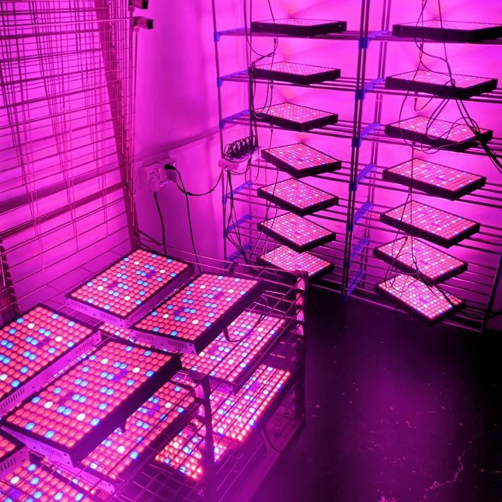 Светодиодная лампа для растений, подсветка, 1200W, 1200W, 1200W
