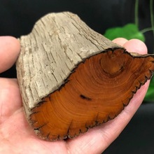 太行崖柏原木毛料手把件陈化老料手串把玩边角料雕刻黑油甜香木料