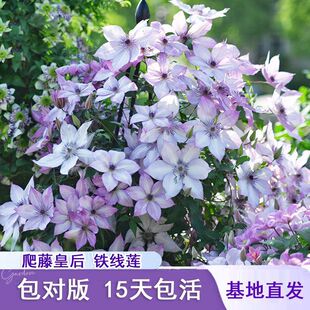 ��������а��F��ɏ����С��ԭ��ԭ���l؛�������TͥԺ�̨