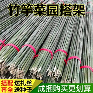 Bamboo Poles for Garden Trellis, Small Outdoor Bean and Cucumber Flagpole, Climbing Vine Pole, Factory Direct Sale, One Piece with Free Shipping, Wholesale