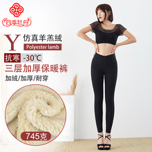 �ļ�ĵ����ůѝŮ�ﶬ���ӼӺ����q���������W�����ѝ�|����ѝ