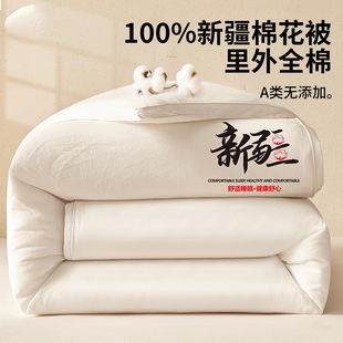 Xinjiang Cotton Quilt Winter Quilt Pure Cotton New Thickened Warm Pure Cotton Quilt Core Spring and Autumn Quilt Cotton Batting