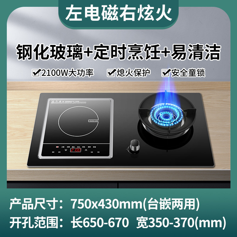 표준 모델 왼쪽 전기 및 오른쪽 가스 + 눈부신 난로 + 탈착식 유도 밥솥