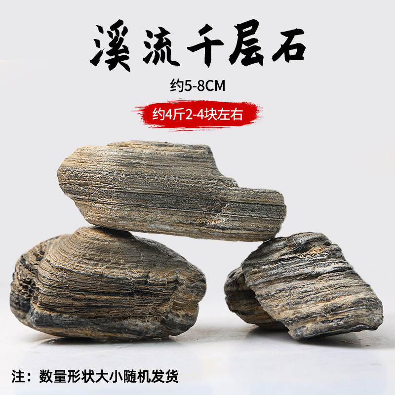 千层石（5-8cm）约2-4块