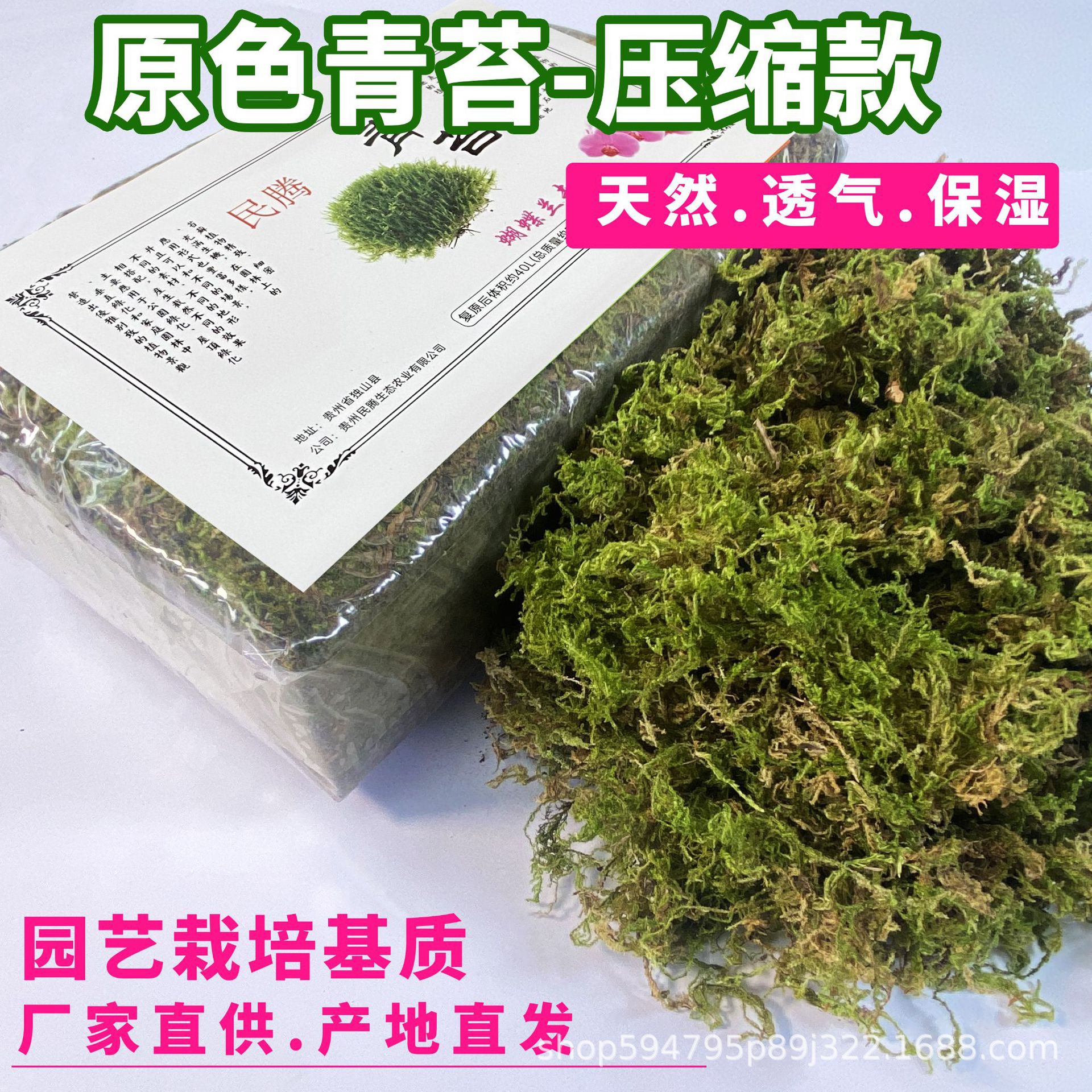 青苔苔藓水苔蝴蝶兰栽培营养土爬虫垫材多肉石斛园艺盆栽苔藓批发
