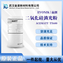 EVONIK赢创消光粉TT600适用涂料油墨皮革薄膜涂层哑光剂TT600