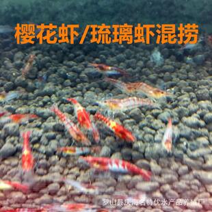 ���]�ѻ��r�����r��Ƽt�����t�ѻ��r�^�p�r�����r��ˮС���r���l