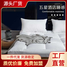 五酒店同款 10cm床垫软垫家用垫褥加厚冬季床褥子超软垫被软