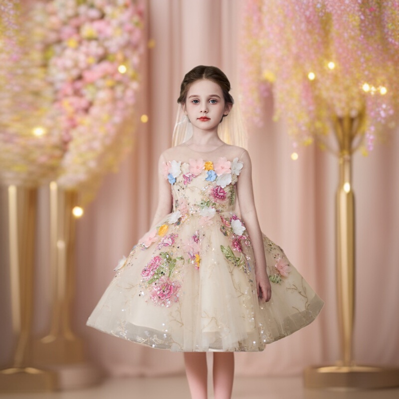 Girls' Dress, Light Luxury, Niche, High-End Wedding Dress, Flower Girl Wedding Dress, Little Girl Princess Dress, Host Performance Dress Girls' Dress, Light Luxury, Niche, High-End Wedding Dress, Flower Girl Wedding Dress, Little Girl Princess Dress, Host Performance Dress