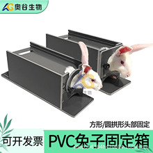 ����ù̶��� �ñ����� �̶����`��θ�̶����̶��� PVC���|������
