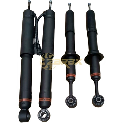 damping system Rear Shock Absorber