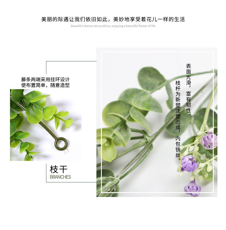 藤条详情-兰韵_07
