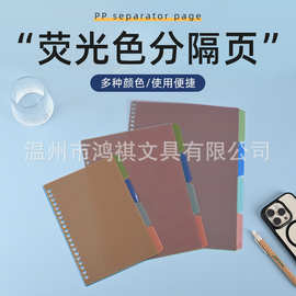 定制荧光色索引活页分隔页 PP材质塑料片 笔记本内芯分类便签标签