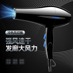 クロスボーダー大出力ドライヤー家庭用冷熱風電ドライヤーメーカー卸売りドライヤー髪速乾機