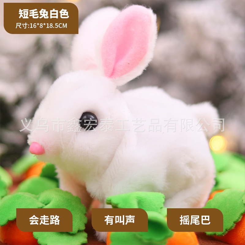 Conejo de pelo corto blanco