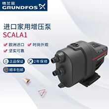 ���m���Ԅ�������SCALA13-25�e��������