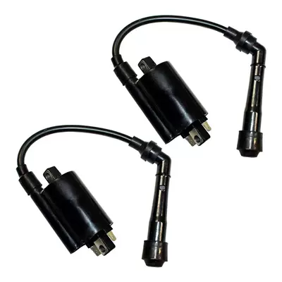Suitable for Kawasaki EN500C Vulcan Yamaha V Star GN250 high-voltage ignition coil (Alovlanma bobini (Babinalar))