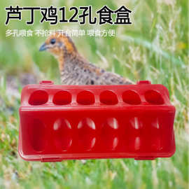 芦丁鸡12孔食盒多孔喂食不抢食小鸡鹌鹑下料器鸡食槽养殖专用