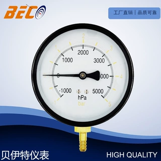 贝伊特beco 100mm径向安装压力表 5bar双刻度压力表 可定制压力表