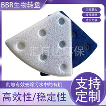 BBR�����D�P ���w�W����|�w�PƬ ѿ�ߗU���m�������D�P��ˮ�O��