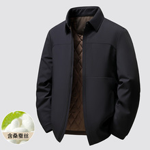 牛奶丝男式翻领棉衣外套中年商务休闲高端桑蚕丝薄款棉服男棉袄男