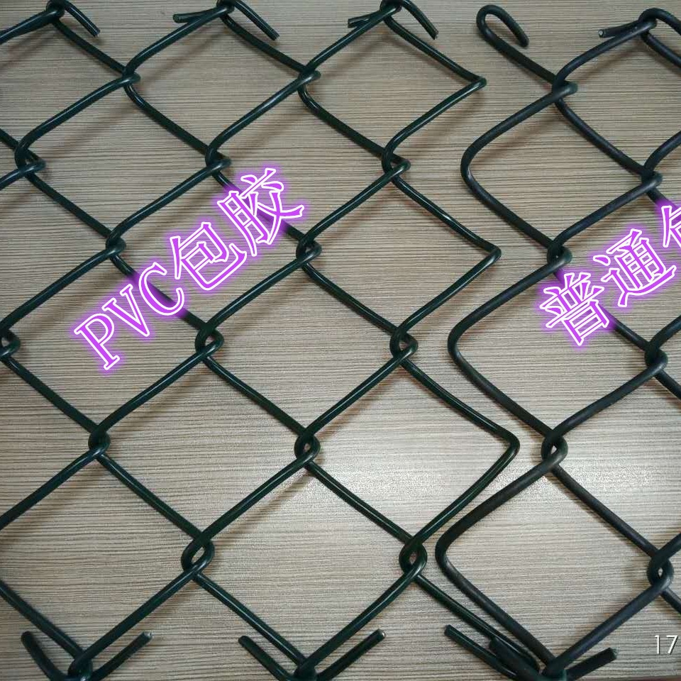 金栏包胶围网 多重规格围网选择 球场网及场地护栏网适用佛山厂家