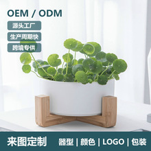 ���ƿ羳���⎧ľ�ܶ��⻨���ڏ����W�b�̖�o��ˮ���մɻ���