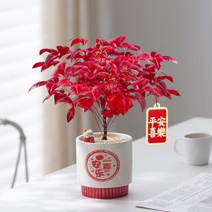 �ͺ��ֺÿ��Ļ������������������L�����҃����Կ羳���l���R�d