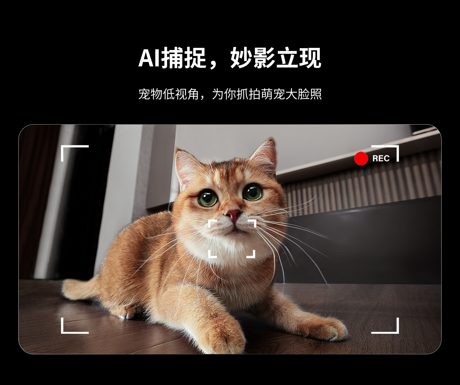 EBO Air2 Plus Portable camera Home mobile phone video dialogue smart pet monitoring robot undefined