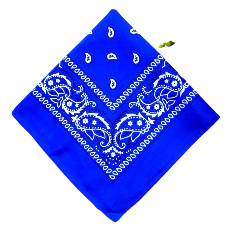 Cashew Flower Square Polyester European and American Magic Headscarf 55cm Amoeba Hip-Hop Street Dance Sports Towel Multicolor