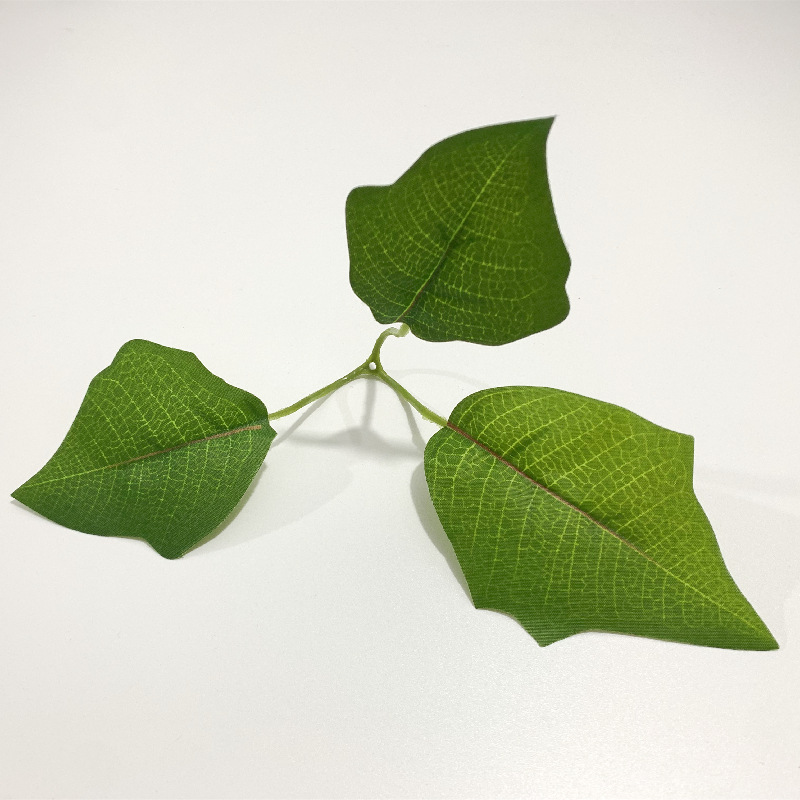 微信图片_20220601220518_副本