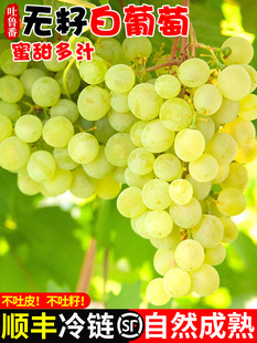 �½��������o�Ѱ����ё������ЋDˮ���Fժ�o��������������S���]