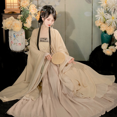 Tang Dynasty Hanfu Fairy dress for women female improved myrobalan double big sleeve shirt skirt Chinese wind tang system super fairy costume 