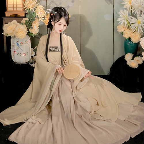 Tang Dynasty Hanfu Fairy dress for women female improved myrobalan double big sleeve shirt skirt Chinese wind tang system super fairy costume 