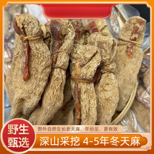 ���rҰ�����a���鶬�������ز���Ş��Ұ�����L��Ȼ����