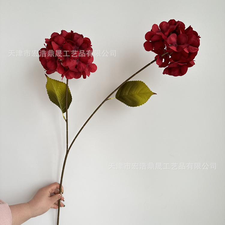 버건디 (나뭇잎 없음)