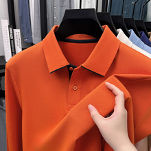 2025�߶���ʿ�L����t�������¿��̄����e���IPOLO��������ְ��b