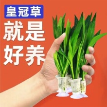 �~������ʹ�ˮ�ݾŹ�ֲ����ݺ������������ˮ�|���֑����쾰