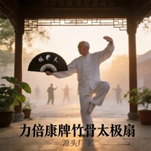 力倍康竹骨太极扇源头厂家武术功夫扇