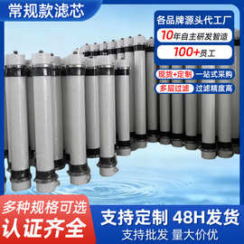 定制水处理专用超滤膜滤芯UF4040柱式净水耐酸碱