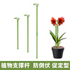 Horticultural Plants supporting rods to anti -inverted glass fiber stitching Phalaenopsis fixed shelf climbing vine chopped red bracket wholesale