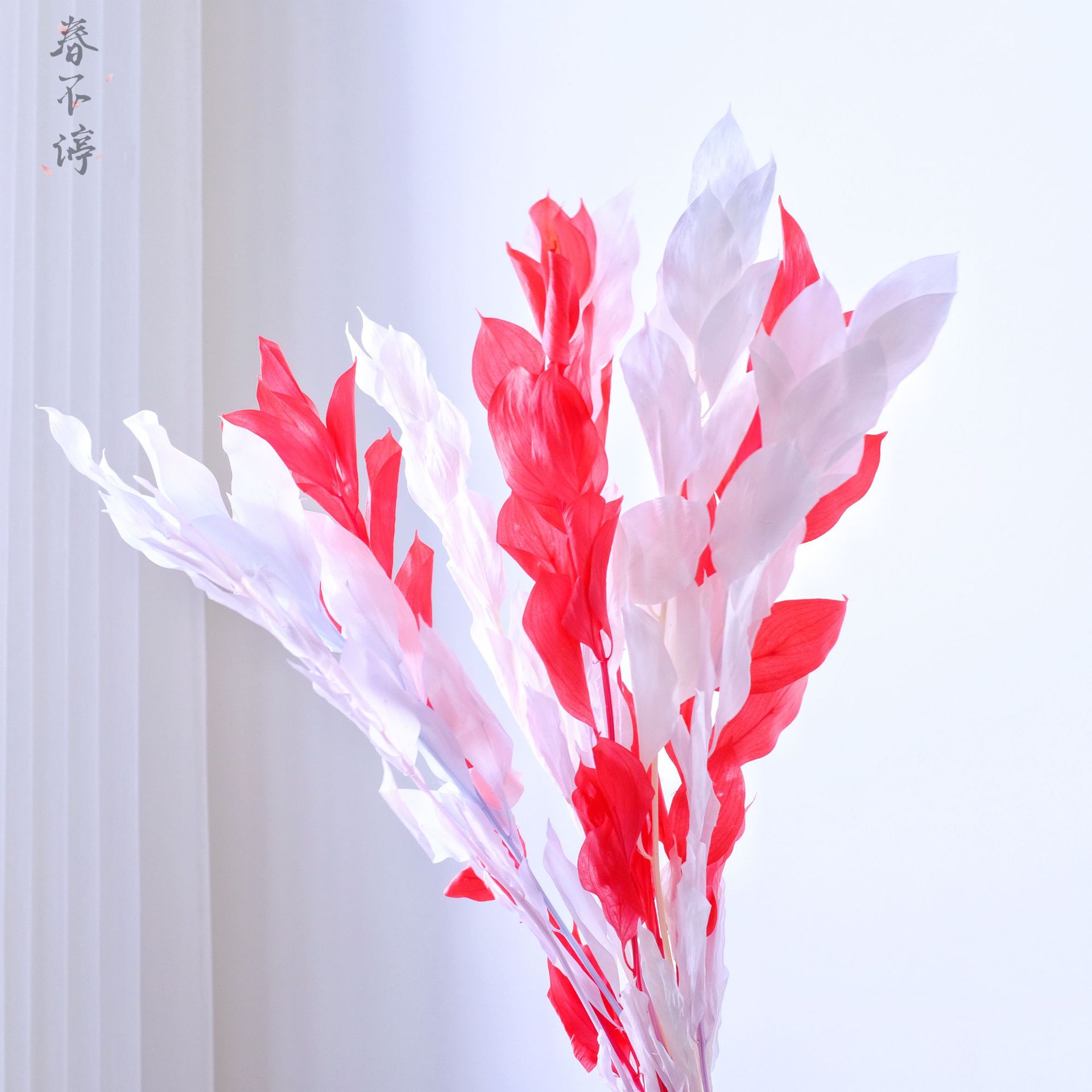 Orange leaf immortal flower, fresh orange leaf literary illustration, Spring Festival home decoration shooting props, Yunnan manufacturer wholesale