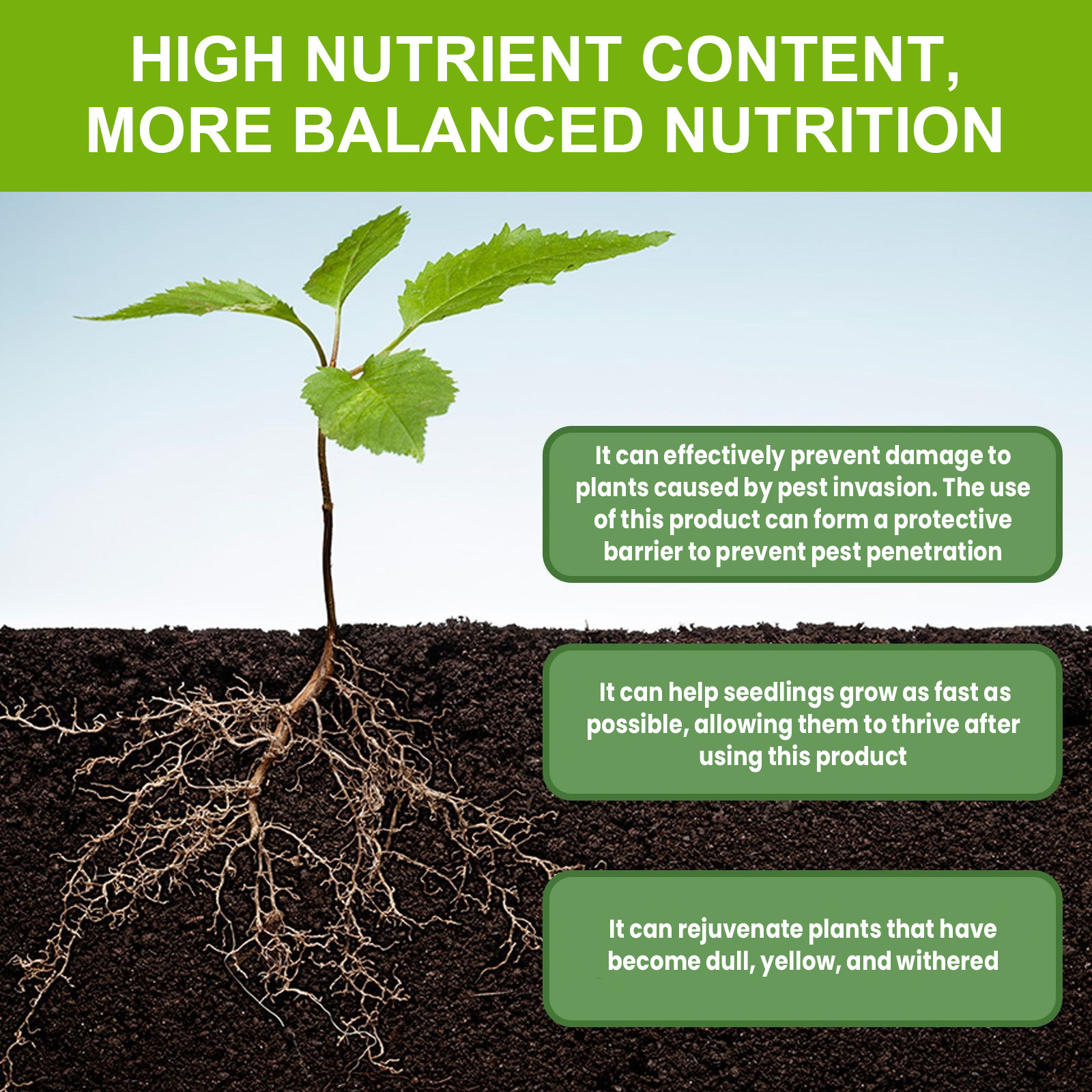 Vitamins and Minerals for Plant Growth