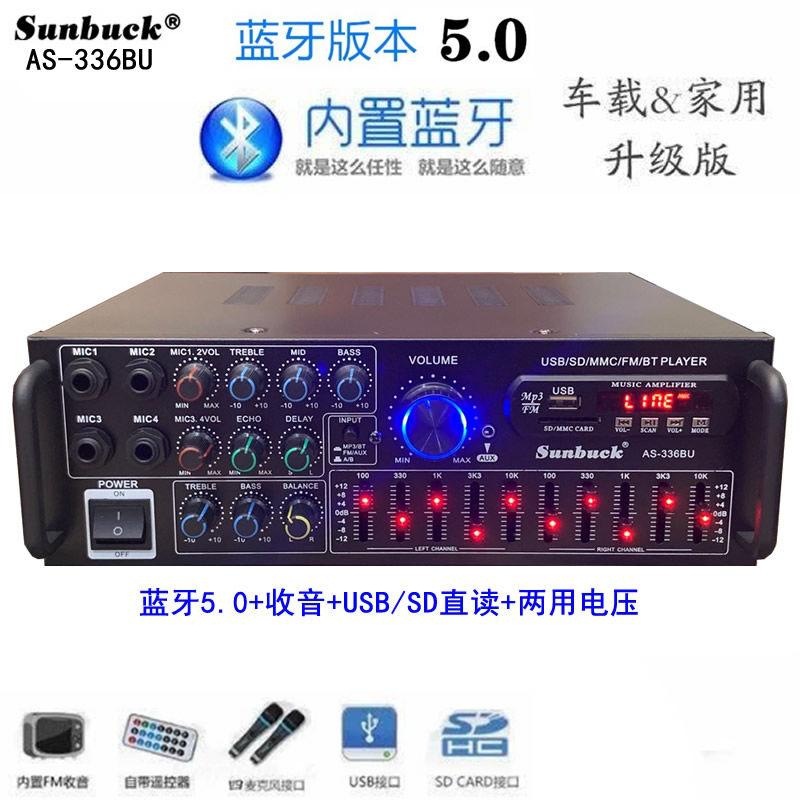 Amplificador de Potencia para Karaoke 220V/12V con Bluetooth Ecualizador EQ y Control Remoto image 9