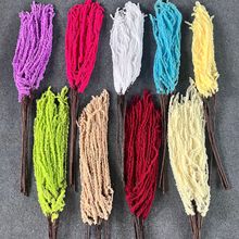 ������������z������c�b�Ʒ�������ø߼��б�����滨�ٻ�ë��