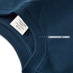 Heavyweight crew neck couple's sweatshirt 380g pure cotton trendy long-sleeved top for spring and autumn, unisex, with logo print