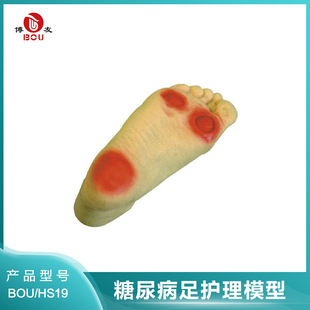 Tnb Foot Care Model Tool Pvc Mold Elderly Foot Training Equipment Hs19