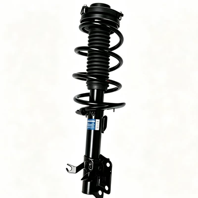 damping system Shock Absorber Assembly, Original