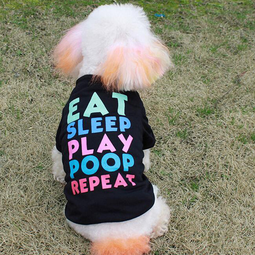 Pet clothes, dog clothing, colorful letter print cool T-shirts for wholesale, small, medium and large dogs, summer thin clothing