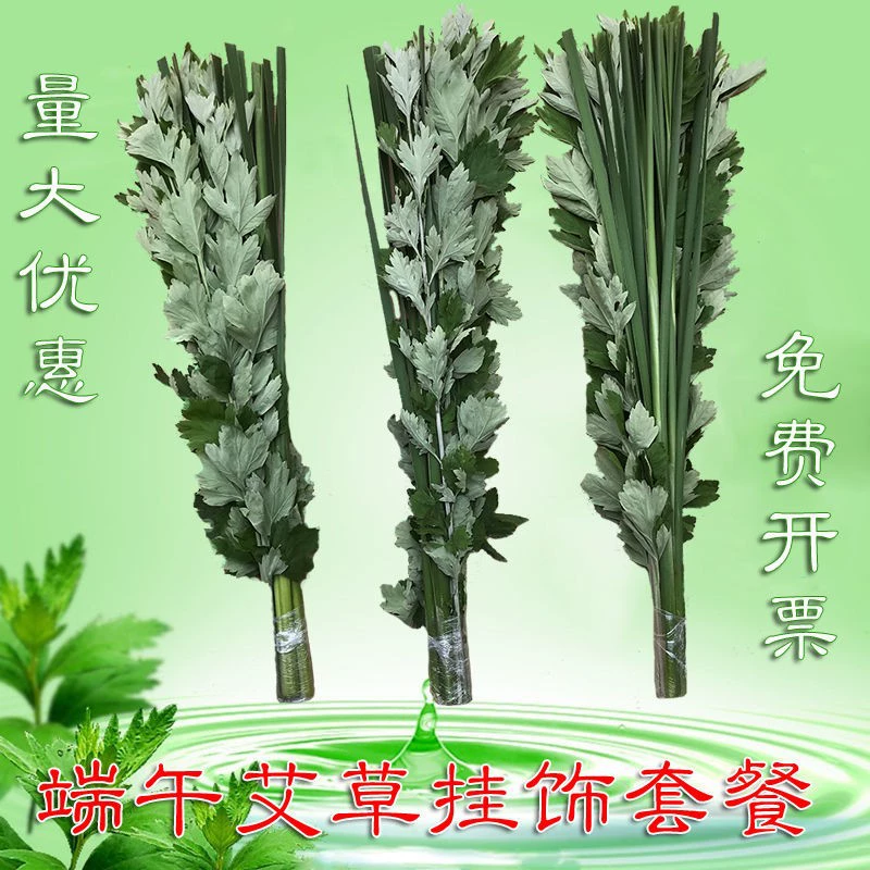 Свежие листья полыни на Празднике лодок-драконов